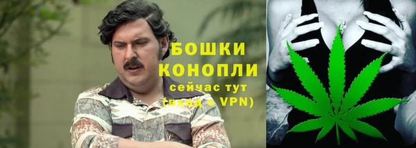индика Богородицк