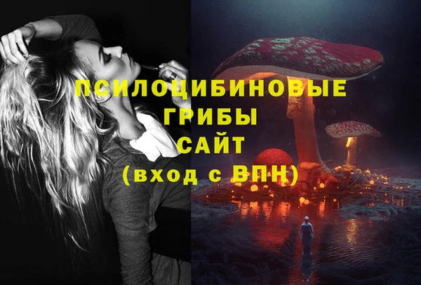 индика Богородицк