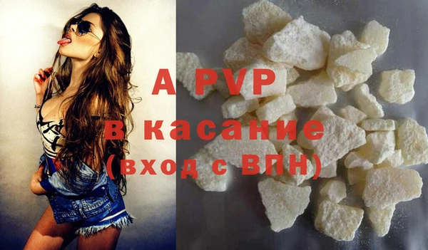 индика Богородицк
