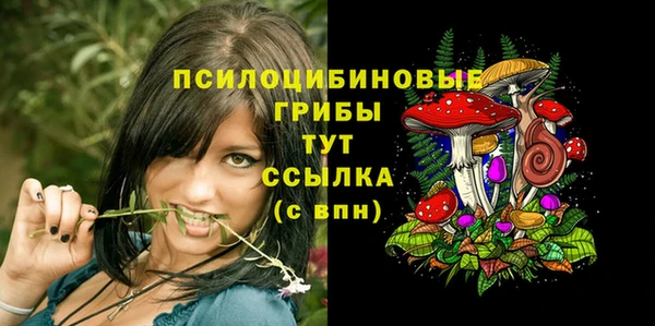 дурь Богородск