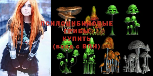 твердый Армянск