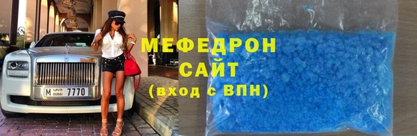 индика Богородицк